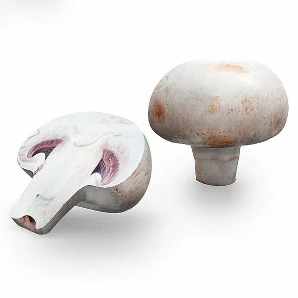 Грибы сапротрофы шампиньон. Шампион. Шампион. Картинки злой шампиньон 3 д. Шампиньоны для презентации.