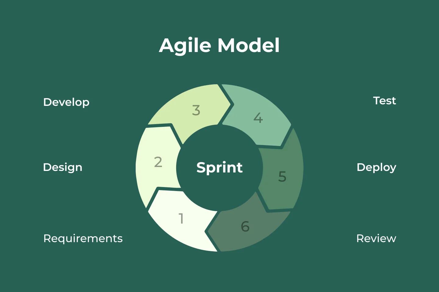 Agile какие методологии. SDLC цикл. Гибкая модель Agile model. Agile цикл. Agile модель разработки по.