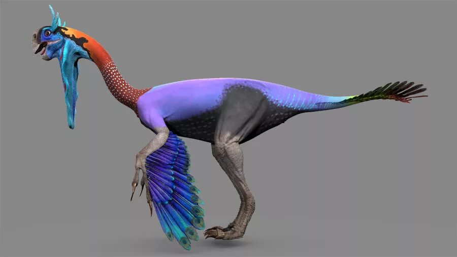Гигантораптор. Gigantoraptor erlianensis. гигантораптор динозавр. gigantoraptor skeleton. гигантораптор революция динозавров.