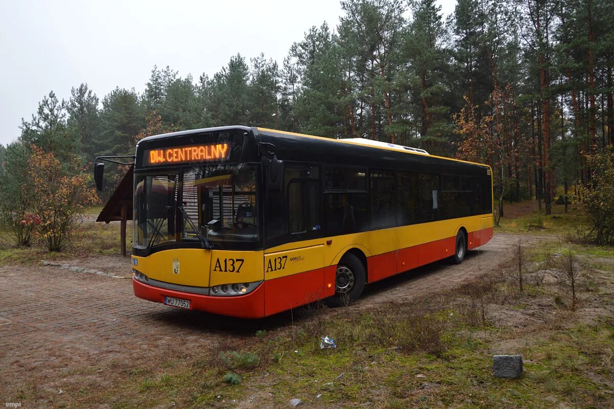 Solaris urbino 24. Солярис Урбино 24.