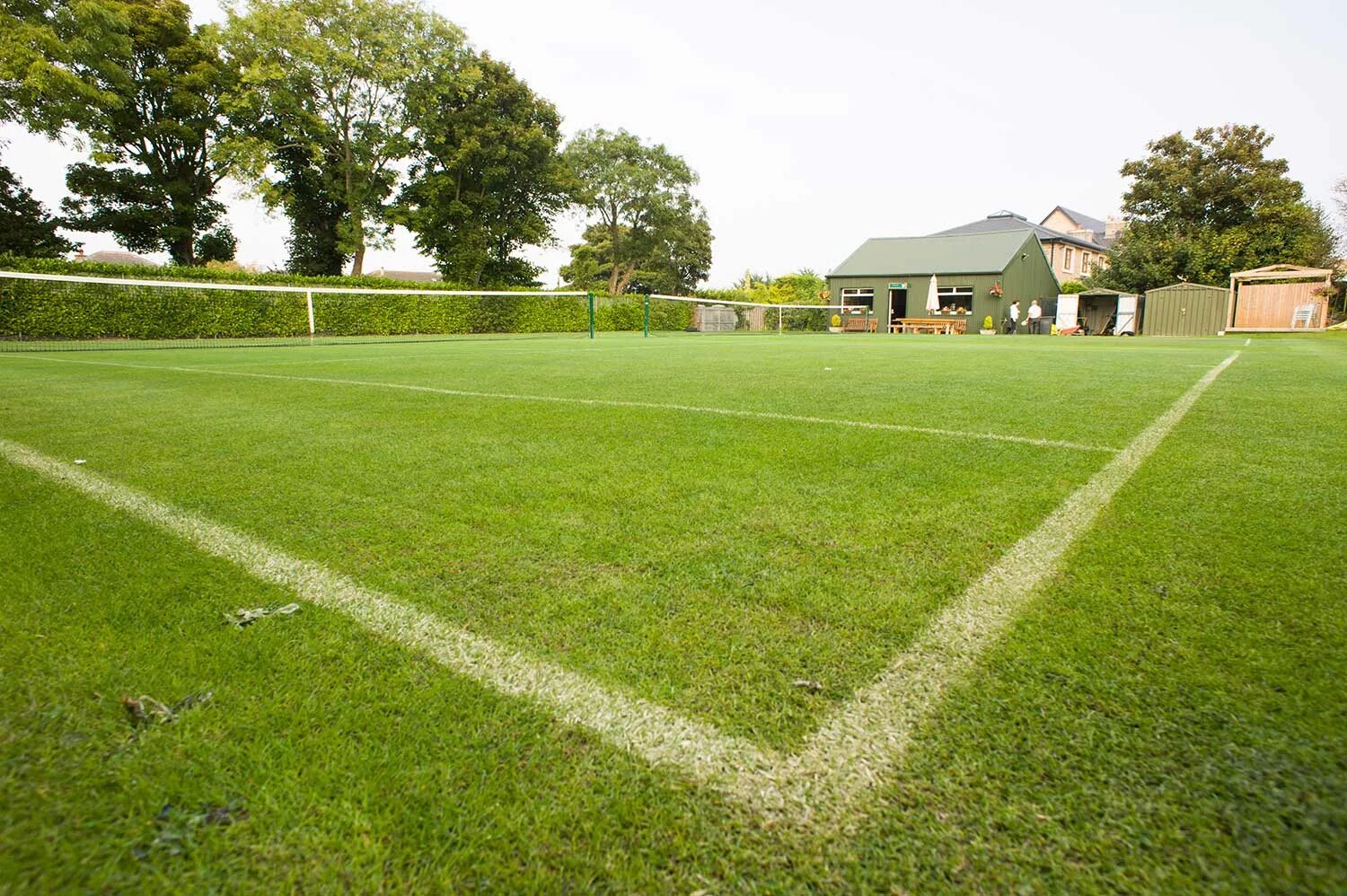 Картинка футбольное поле под углом. Mcg. Зеленый газон. Футбол поле с угла. Мещерский парк футбольное поле.