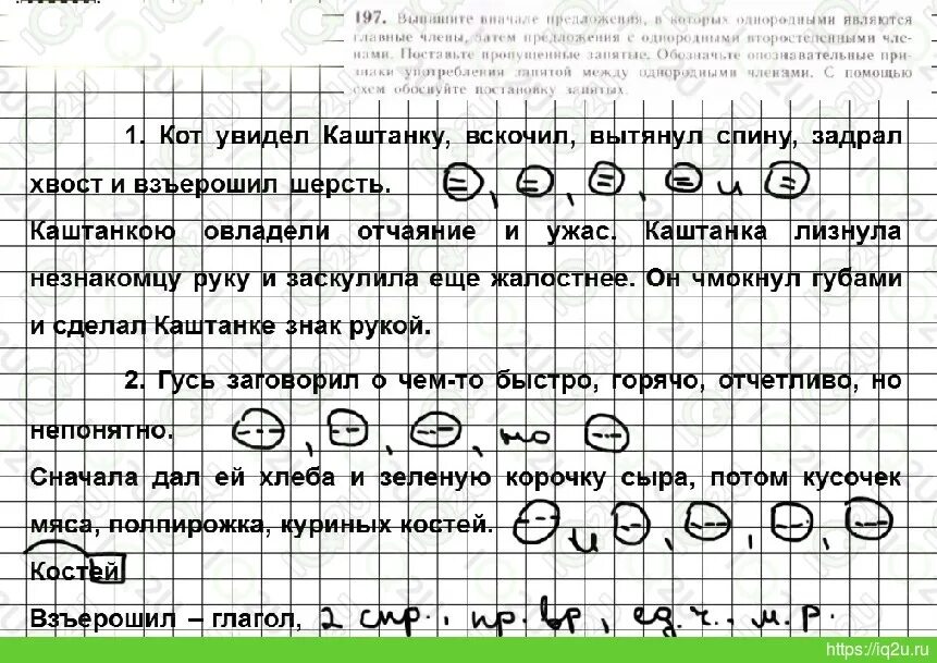 Русский язык пятый класс страница 95 упражнение 206. Русский 5 класс упражнения 206. Упражнение 206 страница 95.