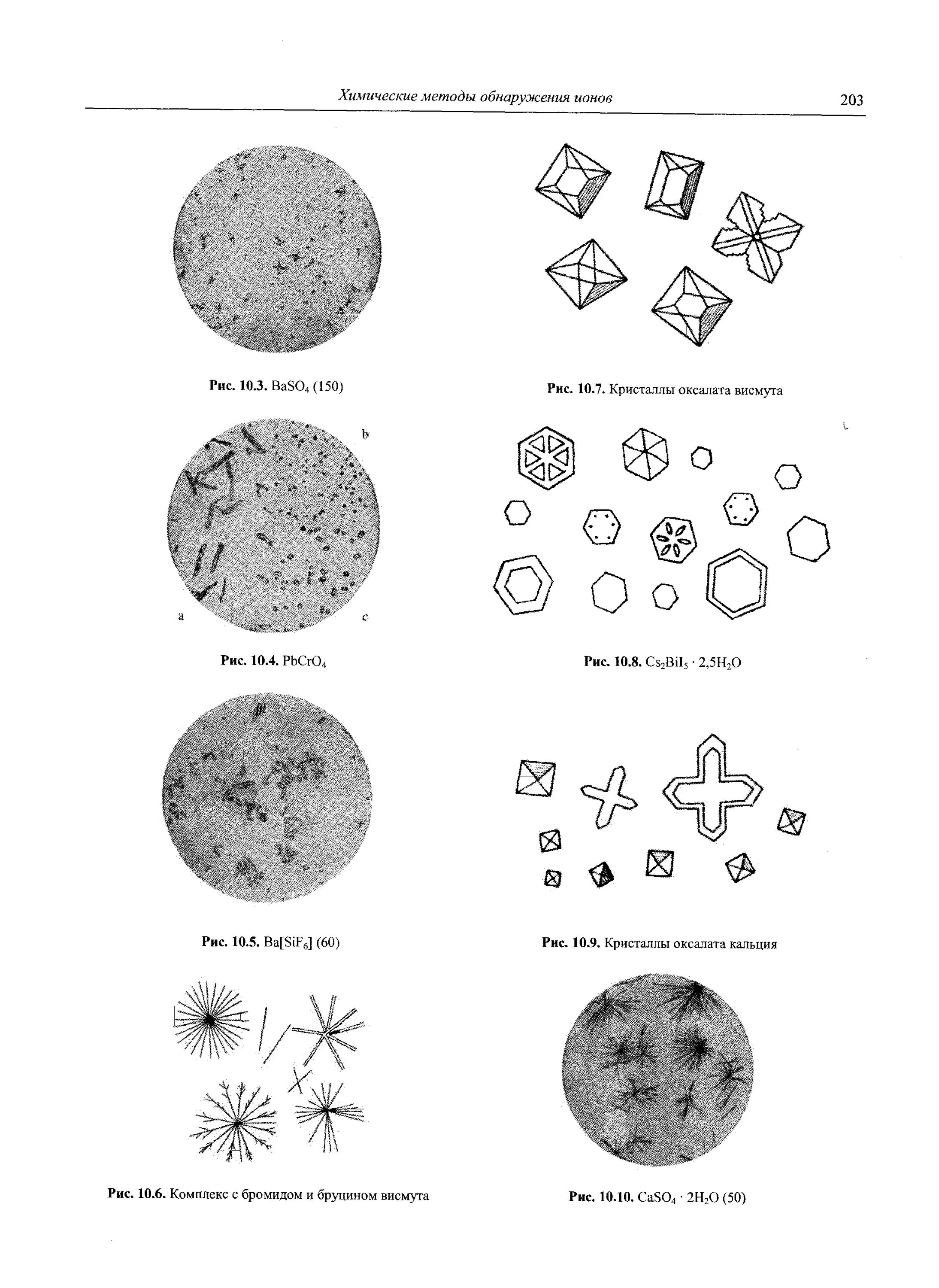 Оксалаты кальция в моче у ребенка. Оксалаты в моче норма у мужчин. Кристаллы оксалата кальция дигидрат в моче. Кристаллы оксалата кальция в моче. Оксалаты кальция в осадке мочи.