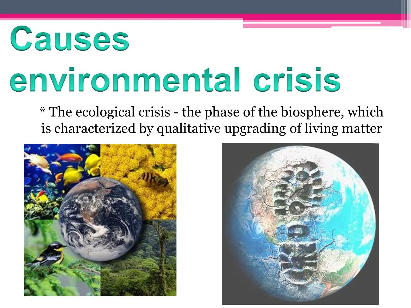 Causes of environmental problems. Environmental crisis. causes of ecological problems. what ecological problems causes.