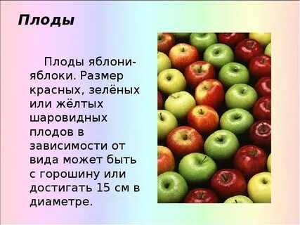 Яблоня рассказ