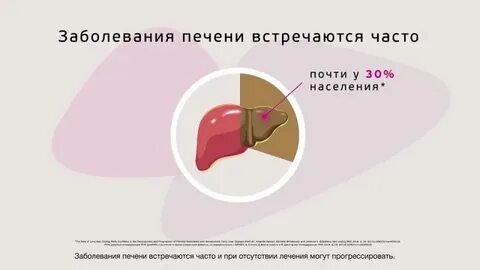 Часы работы печени
