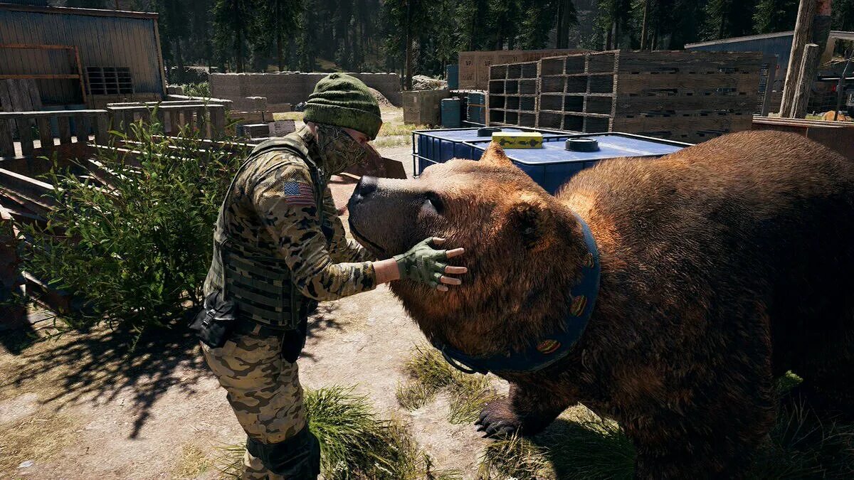 Медведь чизбургер far Cry. Фар край 5 медведь чизбургер. Far Cry 5 медведь. Чизбургер из far Cry 5. Включи видео игра медведя