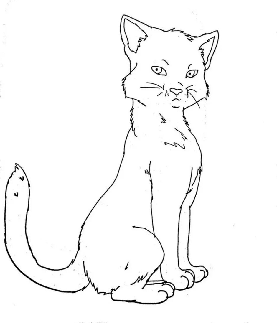 Стоящий кот рисунок. Нарисовать сидящего кота. сидячая кошка рисунок. сидящий кот для срисовки. рисунки кошки для срисовки сидящая.