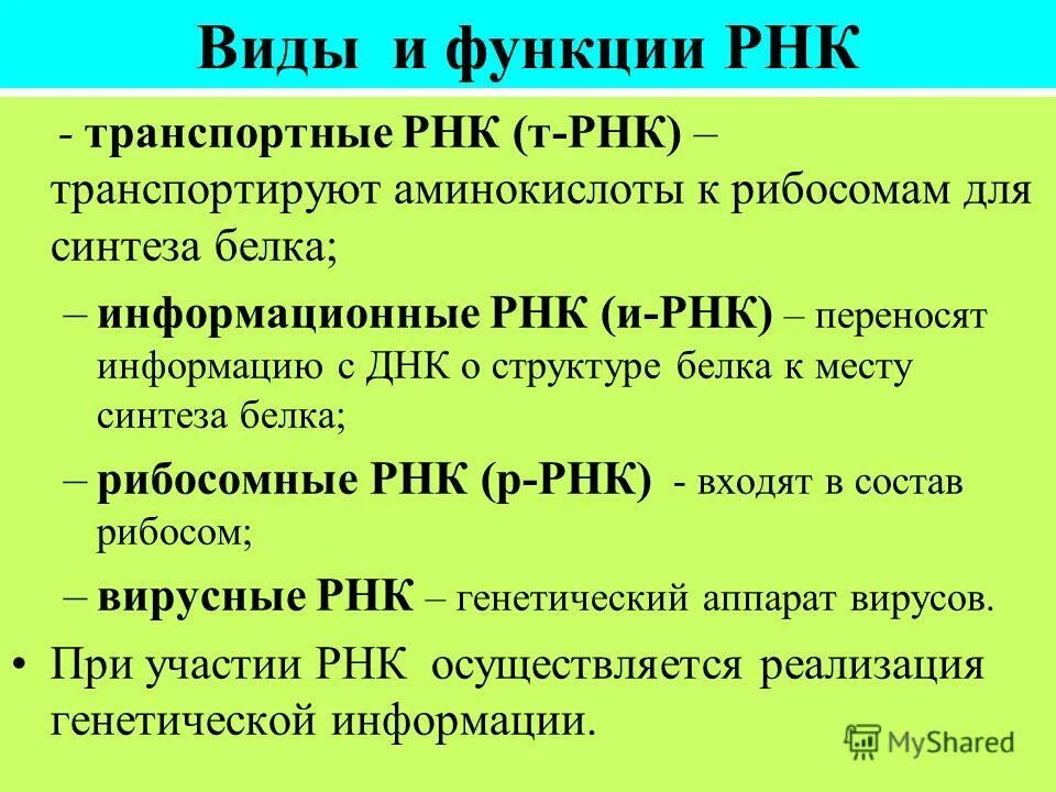 Какие функции выполняет рнк. РНК –функции,структура,типы. РНК типы и функции. РНК типы РНК функция. Виды РНК строение и функции.