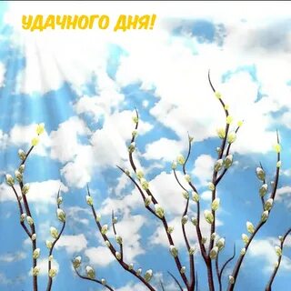 Теплого весеннего дня