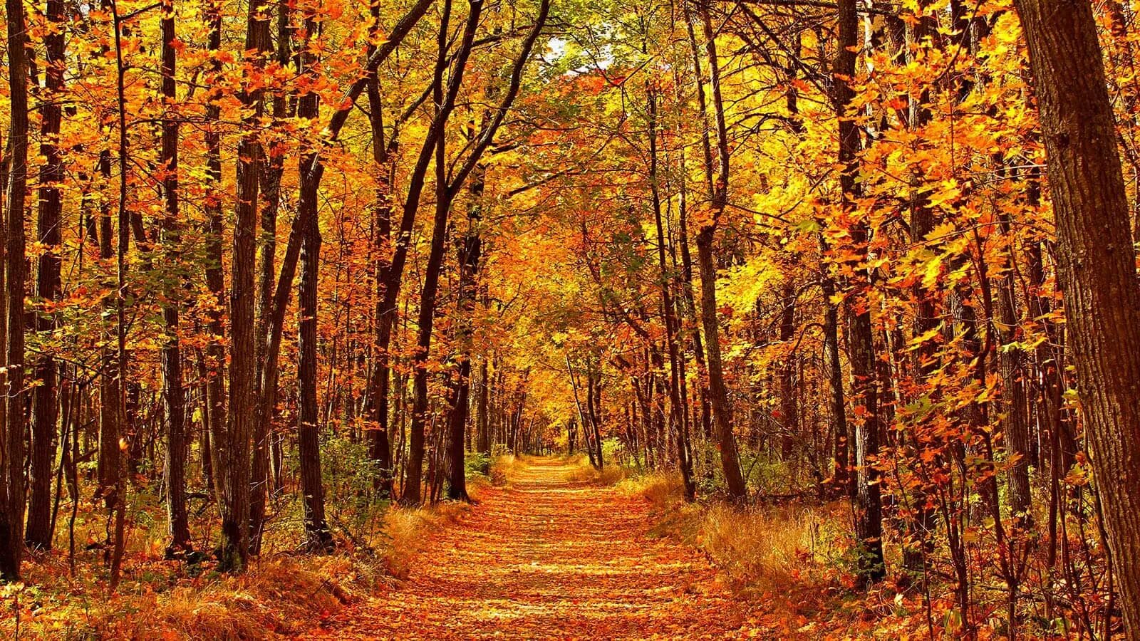 Autumn months are. November is than september. September october november. November надпись. Hello autumn november.