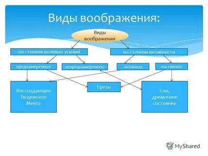 Выберите виды воображения