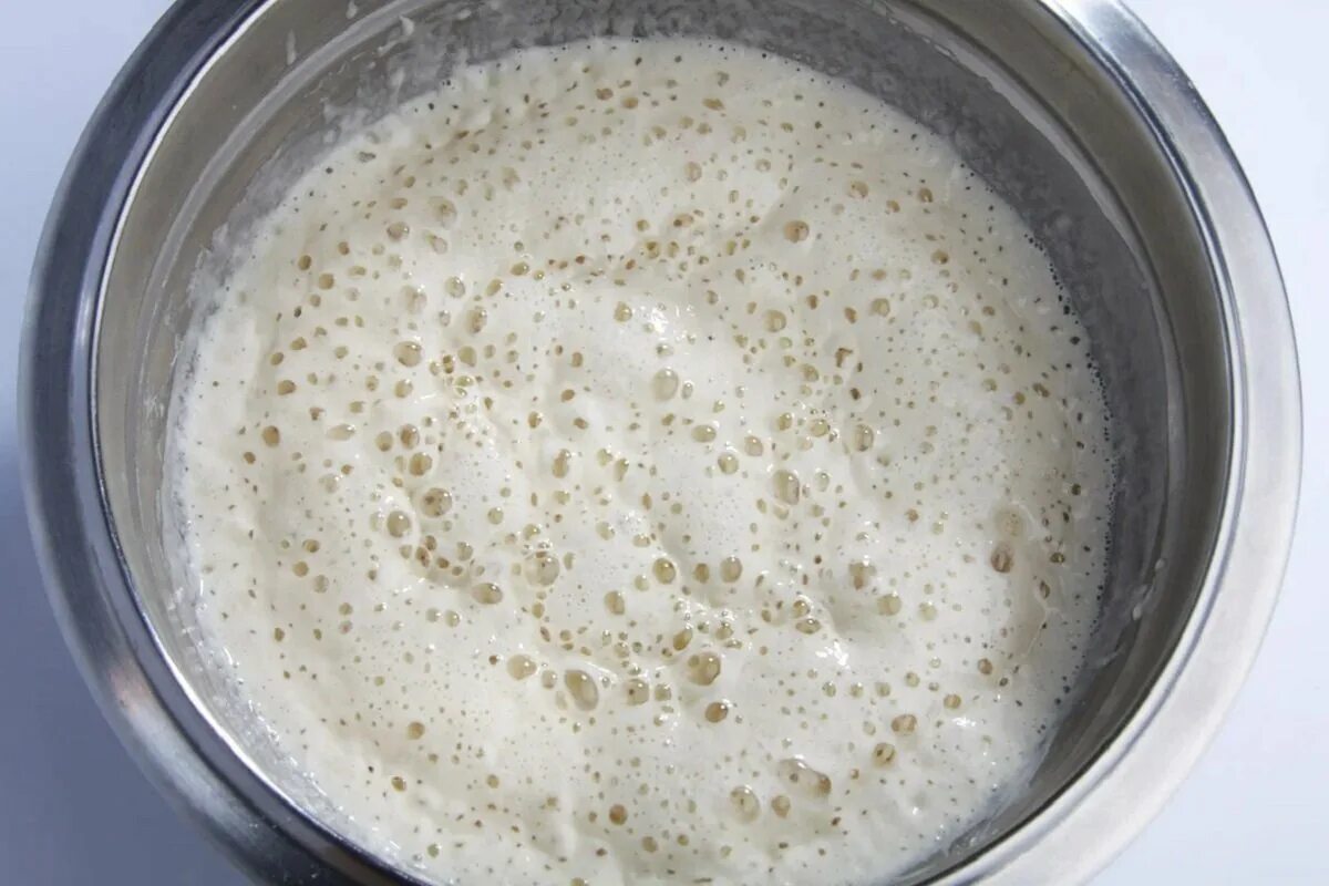 Дрожжи. Дрожжевые грибы примеры. Характеристика хлебопекарных дрожжей. Как определить дрожжи. Опара на сухих дрожжах.