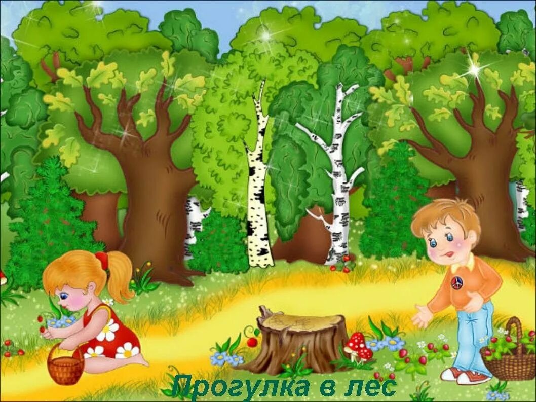 Картинка лес для детей. Лес для дошкольников. Иллюстрация леса для детей. Лес для ДОУ. Лето лес для детей в детском саду.
