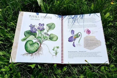 Книжка про растения