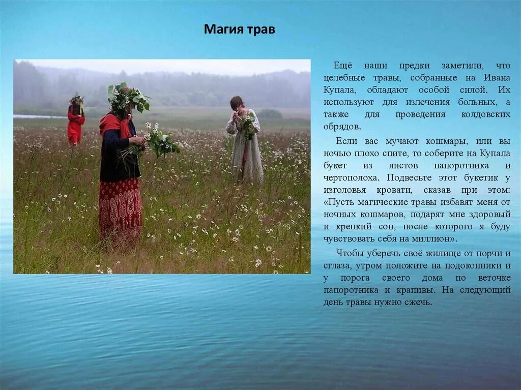 Текст песни ивана купала на украинском. Молитвы на ивана купала. ивана купала целебные травы. молитва на праздник ивана купалы. какие травы надо собирать в ивана купала.