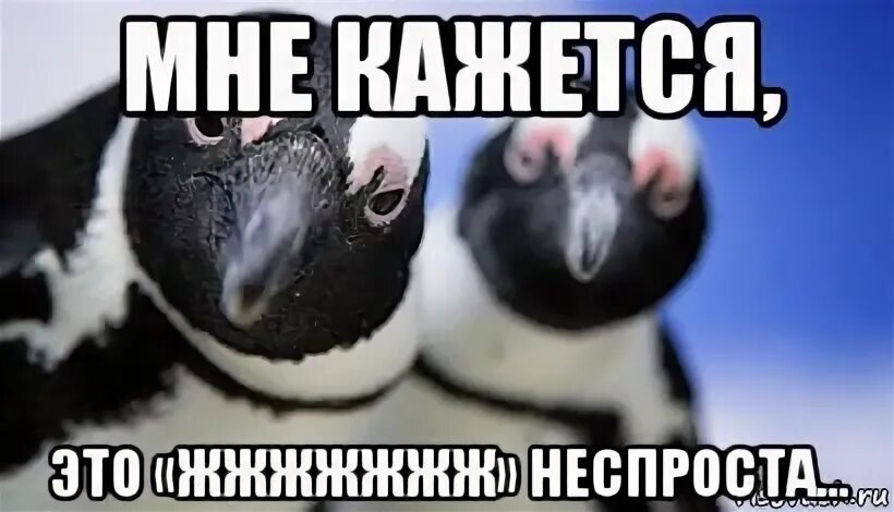 Жжжж