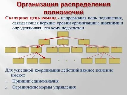Структура распределения организации и управления