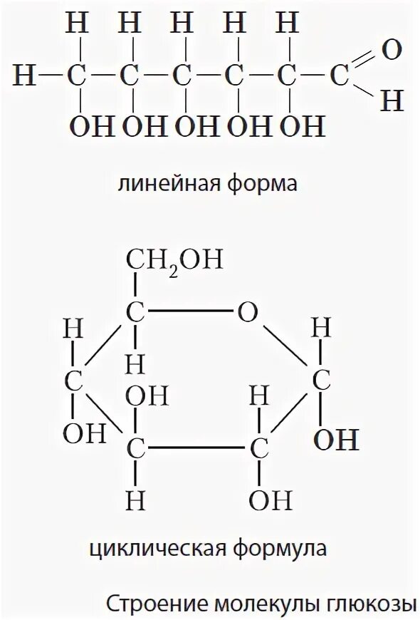 Циклическая формула глюкозы. Линейная и циклическая формула Глюкозы. Глюкоза структурная формула линейная. Формула Глюкозы в линейной форме.