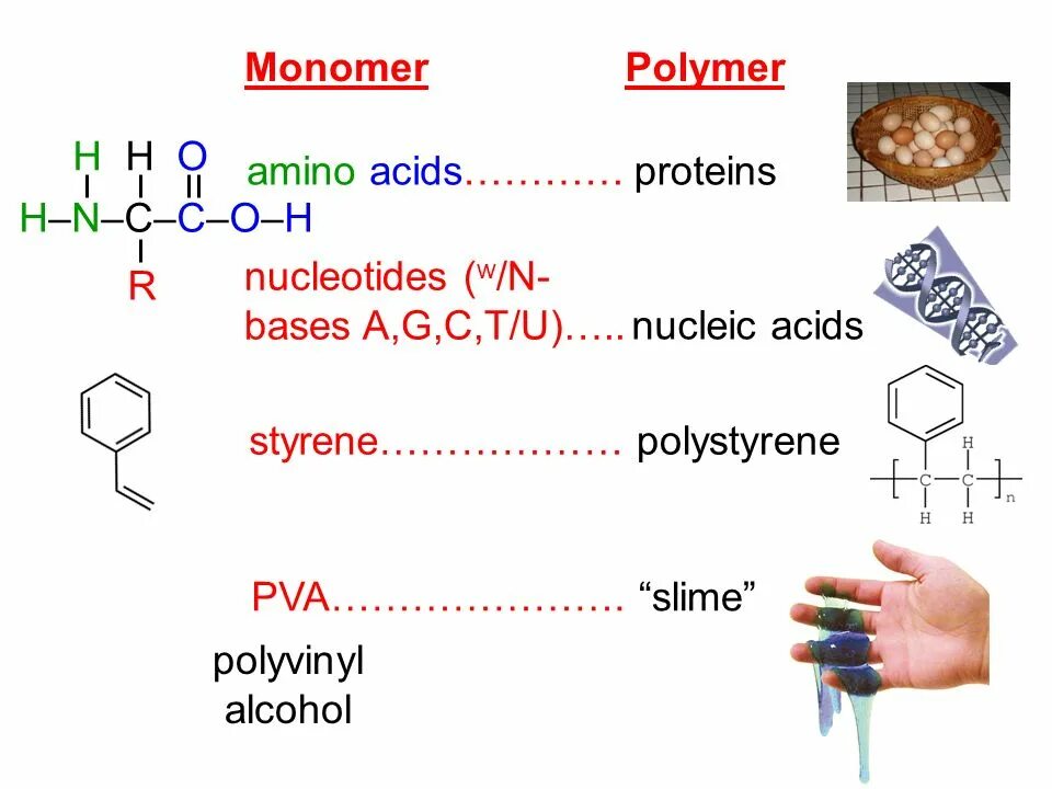 Amino acid Protein. Мономер силикона. Nucleic acids. Мономер витаминов.