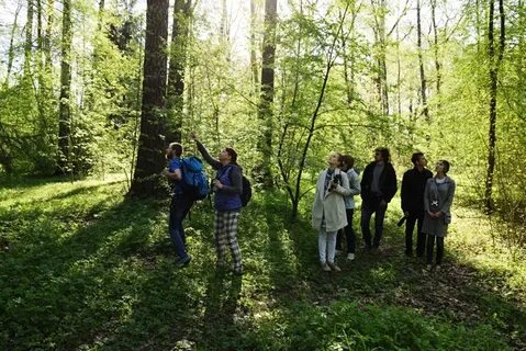 Новоорловском заказнике