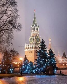 О ели москва