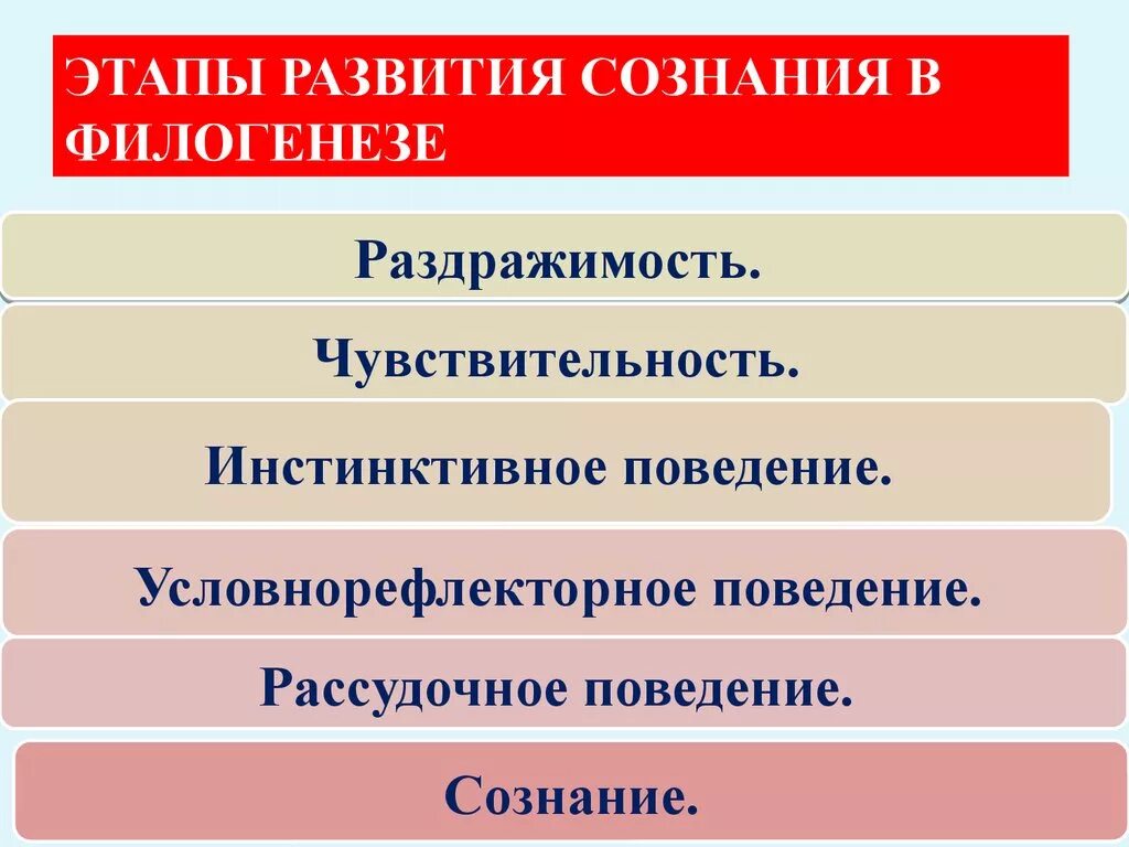 Этапы филогенеза. Формирование сознания в филогенезе. Этапы развития сознания в филогенезе. Развитие сознания. Этапы формирования сознания в онтогенезе.