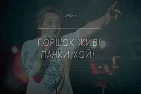 Горшок жив