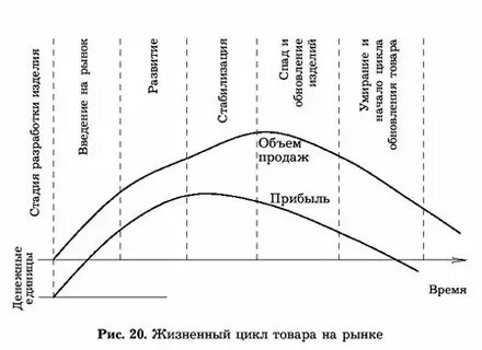 Три стадии жизненного цикла