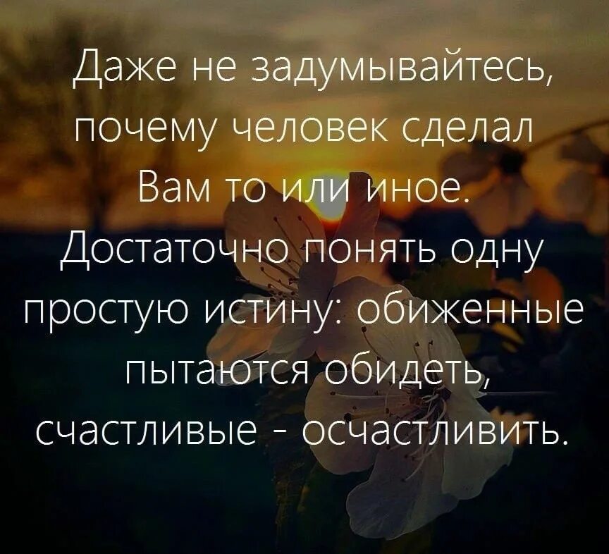 Фразы счастливых людей. Счастливый человек цитаты. счастливые люди высказывания. счастливый человек умные фразы. обиженные стараются обидеть счастливые осчастливить.