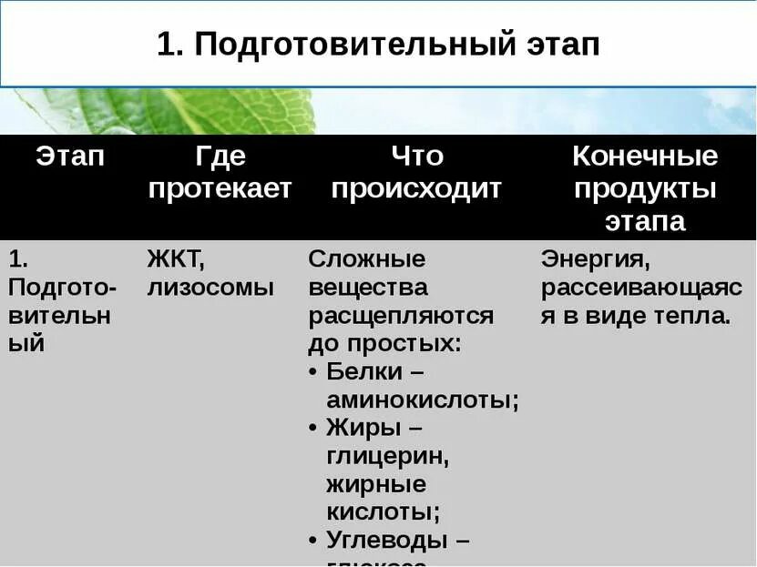 Первый этап подготовительного этапа