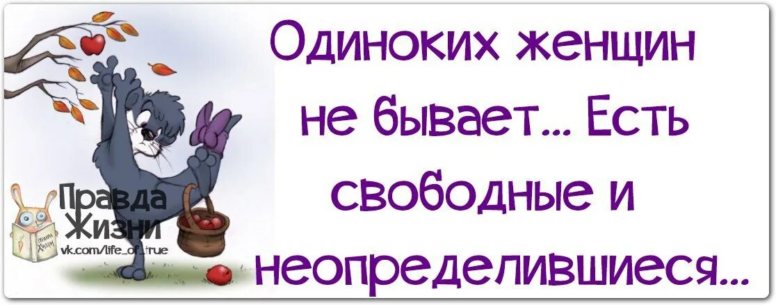 Бывший свободен 20. Одиноких женщин не бывает есть свободные. Одиноких женщин не бывает есть свободные и неопределившиеся. Статус одинокой женщины прикольные. Статусы одинокой женщины с приколом.