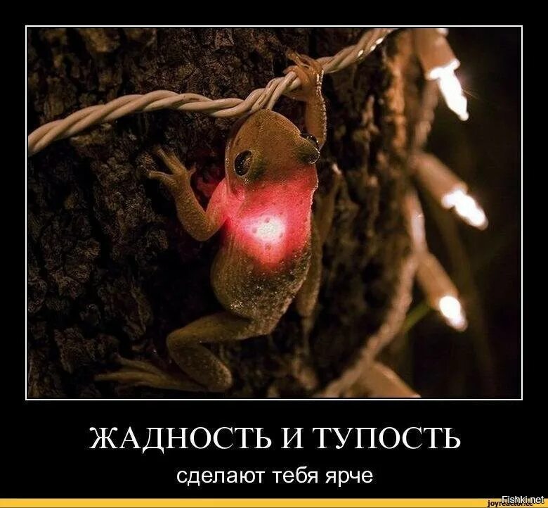 Скупость значение 1 класс