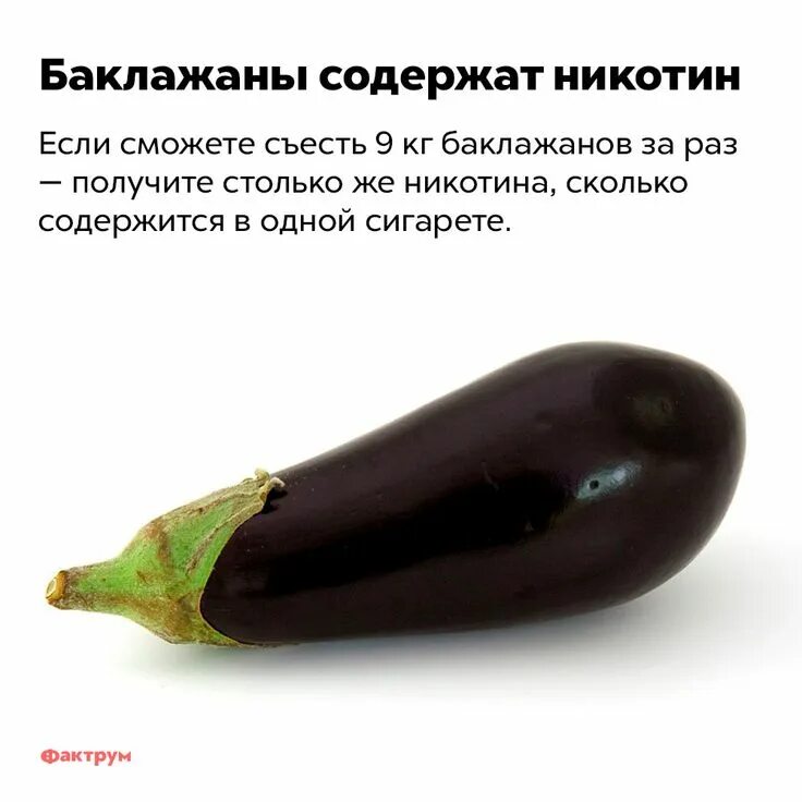 Баклажан это ягода или. Баклажан тип плода. Карточки вундеркинд с пелёнок овощи. Баклажаны мини. Баклажан это ягода.