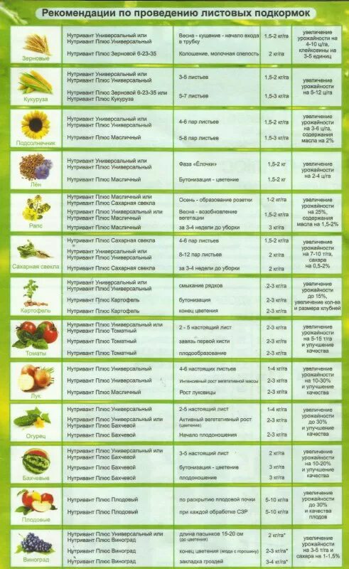Какие овощи подкармливают. Удобрения для овощных культур таблица подкормки. Схема подкормки чеснока.