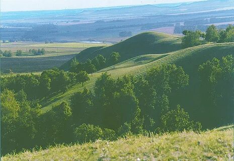 Ландшафт татарстана