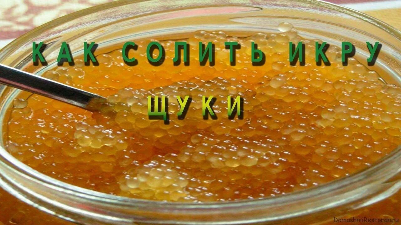 Щучья икра соленая. Икра щуки соленая. Щучья малосольная икра. Посолить щучью икру в домашних. Засолить икру щуки в домашних условиях вкусно