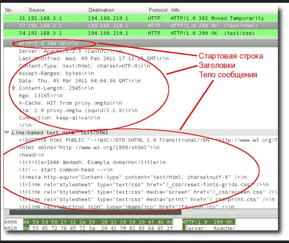 Протокол сайт файл. Html протокол. структура http-сообщения. структура html запроса. протокол хтмл.
