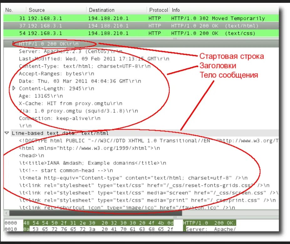 Чем протокол https отличается от https. Html протокол. Wireshark структура пакета. Протокол сайта. Структура request запроса.