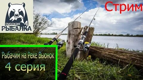 Стрим 4