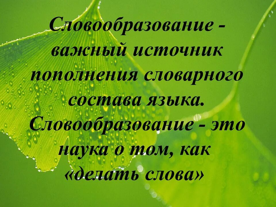 Словообразование слово класс. Словообразование. Слайды словообразованию. Словообразование презентация. Словообразование это наука.