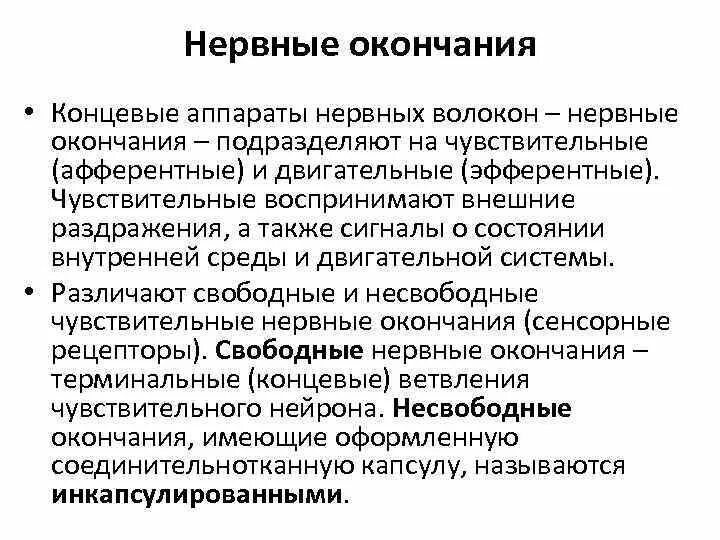 Нервные окончания функции. Чувствительное окончание нервного волокна. Нервные окончания. Окончания чувствительных нервных волокон образуют. Чувствительные нервные окончания.