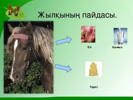 Пискалар жабылады