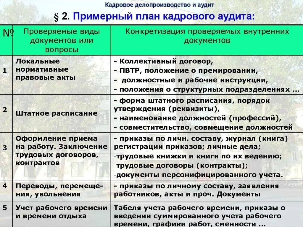 Внутренний аудит кадровых документов. Примерный план кадрового аудита. Порядок проведения кадрового аудита. План проведения внутреннего кадрового аудита. Аудит кадровых документов.