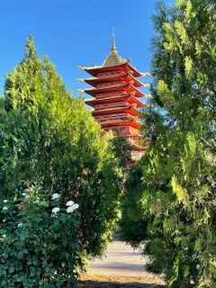 7 pagoda