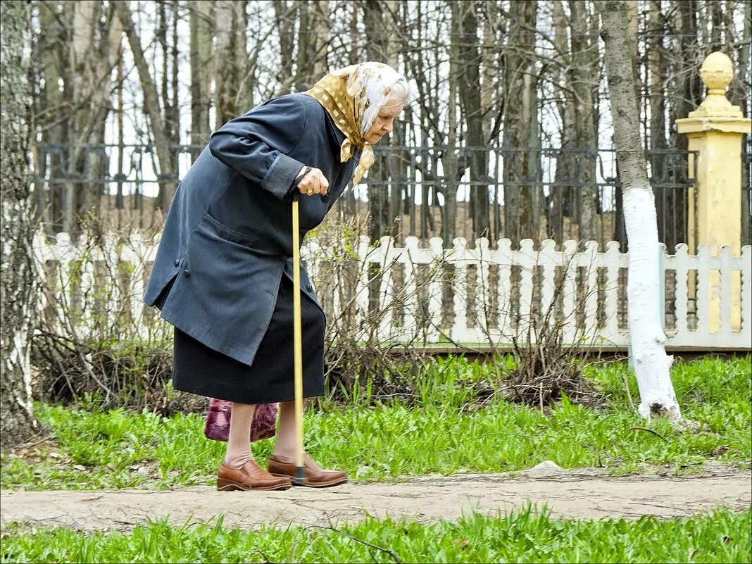 Трудовая жизнь не сгорбила. Старушка с палочкой. Старуха с палочкой. Сгорбленная старушка с палочкой. Babushka s palochkoy.