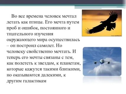 Чему первым делом научиться птица летать