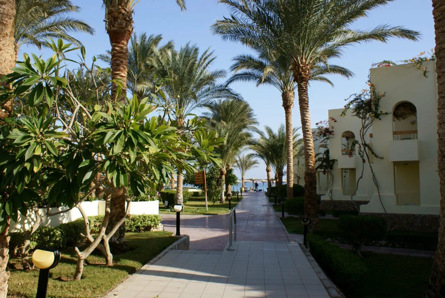 Пальм бич резорт египет. Египет палм бич резорт хургада. palm beach resort 4 hurghada. хургада пальмы. palm beach resort 4* хургада, 50 м до моря.