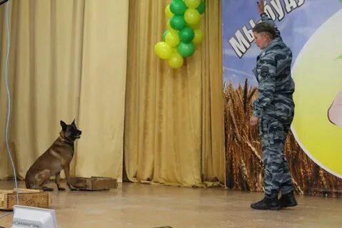 Кинологический колледж