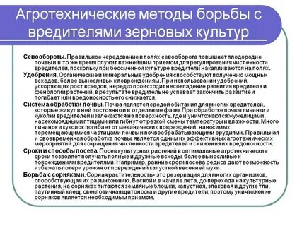 Агротехнические меры борьбы с сорняками